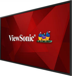 Viewsonic CDE5520 Public Display TFT 4K UHD 55"