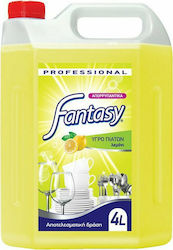 Endless Fantasy Professional Washing-Up Liquid with Fragrance Λεμόνι 4x4lt