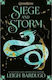 Shadow and Bone 2: Siege and Storm