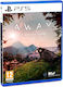 AWAY: The Survival Series PS5-Spiel