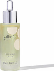 Gallinee Prebiotic Face Oil Moisturizing , Νourishing & Firming Facial Oil 30ml