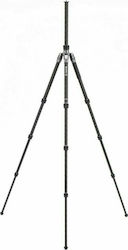 Benro Rhino Carbon Fiber Three Series Travel Tripod Photographic Legs