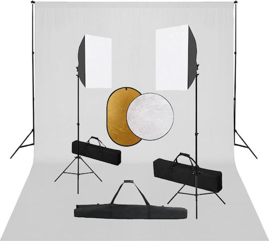vidaXL Foto- und Videobeleuchtungsset 2 Leuchten 24W Mit Softbox und Stativ