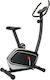 Viking Fancy Upright Exercise Bike Magnetic