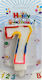 AGC Birthday Candle Number "7" Multicolored 10904023-7