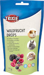 Trixie Wild Berrie lDrops Treat with Berries for Guinea Pig, Rabbit and Hamster 75gr