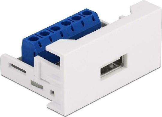 DeLock Module Usb Σε Terminal Block Easy 45 (81343)