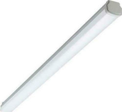 Philips Beleuchtungsschienen mit Eingebaute LED