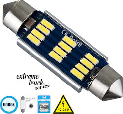 GloboStar Λάμπα Αυτοκινήτου C5W Canbus LED 6000...