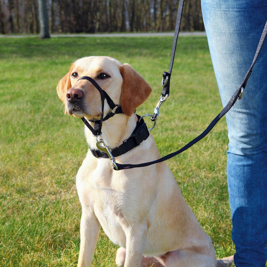 Trixie Training with Neck Strap Large/Extra Large 37cm 37cm