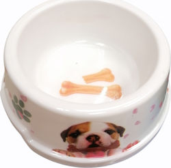 AGC Plastic Cat Bowl for Food & Water White 12x5cm 240ml