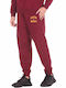 Sweatpants with Elastic Burgundy