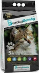 Bentysandy Bentonite Cat Litter 20lt