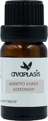 Anaplasis Λεμόνι Anaplasis Λεμόνι