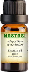 Nostos Pure Αιθέριο Έλαιο Τριαντάφυλλο 10ml