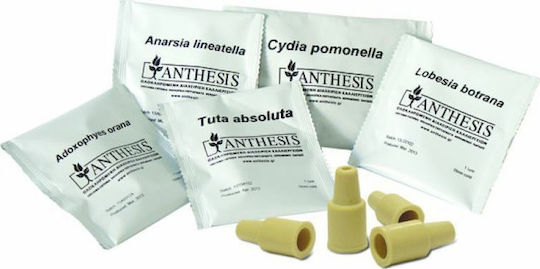 Anthesis Φερομόνη για Tuta Absoluta 5gr