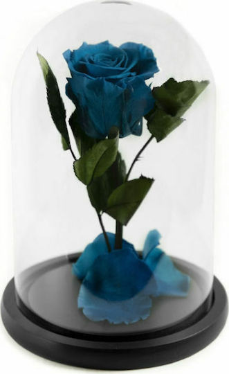 Вечно роза Aquamarine 22см в Яла Aleiferopoulos Flowers