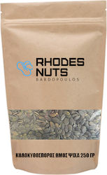 Rhodes Nuts Bardopoulos Semințe De Dovleac Crude Fără Sare 250gr Rhodes Nuts Bardopoulos Semințe De Dovleac Crude Fără Sare 250gr