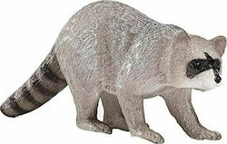 Animal Planet Ρακούν για 3+ Ετών