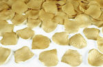 Rose Petals "Marriage" Theme Set of 100pcs