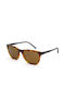 Arnette Cortex Men's Sunglasses with Brown Tartaruga Plastic Frame and Brown Polarized Lens AN4291 277083