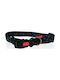 Pet Interest Motivo Dog Collar Nero Medium 20mm x 32 - 50cm