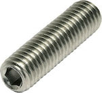 Allen Screw Inox DIN 916 with Diameter M3 and Length 10mm