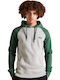 Sweatshirt with Hood Gray