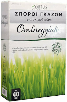 Gemma Ombreggiato Seeds Shadow 1.0kg