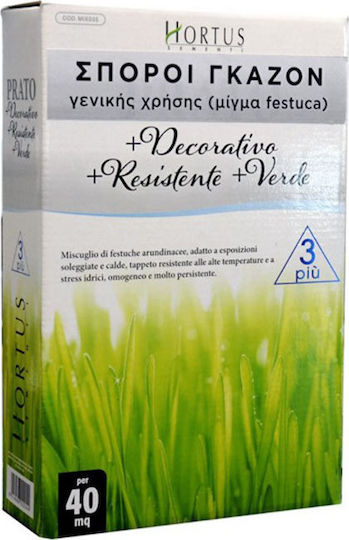 Gemma Semințe Gazon Festuca 500gr
