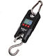 Electronic Professional Hanging Scale with Weighing Capacity of 200kg and Division 100gr