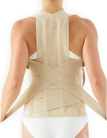 Armor Orthopedics Taylor Dorsolumbar Νάρθηκας Κορμού σε Μπεζ Χρώμα