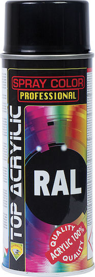 Eco Service Spray Paint Top Acrylic Marrone Chiaro RAL 8011 400ml