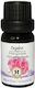 Herbstore Organic Geranium Essential Oil 10ml