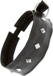 Guilty Pleasure Collar with Studs