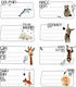 A&G Paper Cuties Animals Ετικέτες Τετραδίων 8x4.5cm 16τμχ