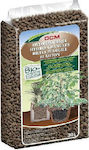 Planting Substrate Διογκωμένη Άργιλος DCM 5lt