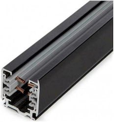 Geyer Rail Mounting