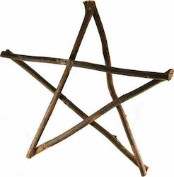 Synchronia from Branches Plastic Christmas Decorative Pendant Star 38x38cm Brown