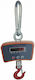 Electronic Professional Hanging Scale with Weighing Capacity of 1000kg and Division 100gr