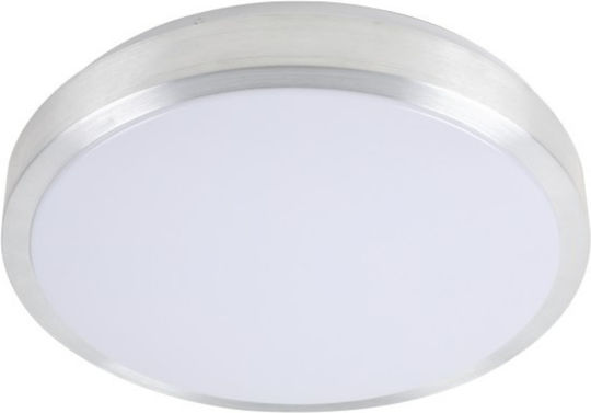 Spot Light Ceiling Mount Light 32cm Silver with Integrated LED