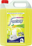 Endless Fantasy Professional Washing-Up Liquid with Fragrance Λεμόνι 1x4lt