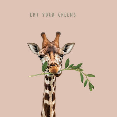 Șervețele Eat Your Greens 33x33cm 20τμχ Multicolore 33x33cm. 20buc