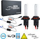 GloboStar Truck Xenon Kit Extreme Truck Series HB3-9005 CAN Bus 110W 24V 6000K Cold White