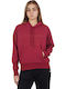 Champion Women's Hooded Sweatshirt Burgundy