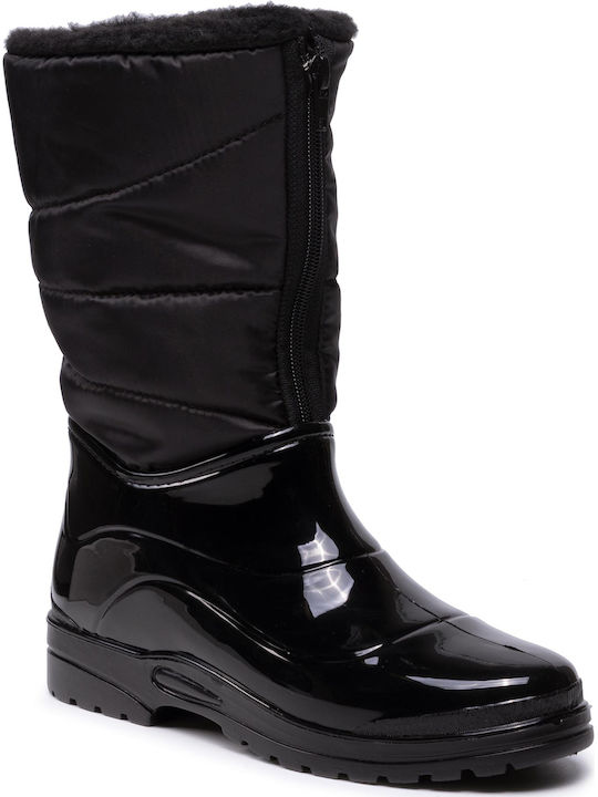 Scholl