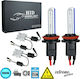 GloboStar Car Xenon Kit Extreme Series H9 CAN Bus 110W 9-16V 8000K Cold White