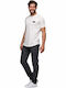 Trousers Chino Elastic in Regular Fit Anthracite