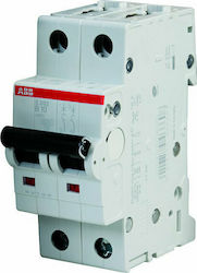 Abb S202-B10 2-Poles Automatic Circuit Breaker 10A 24700