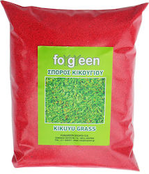 Seeds Grass Kikougiou Organic Cultivation 1.0kg